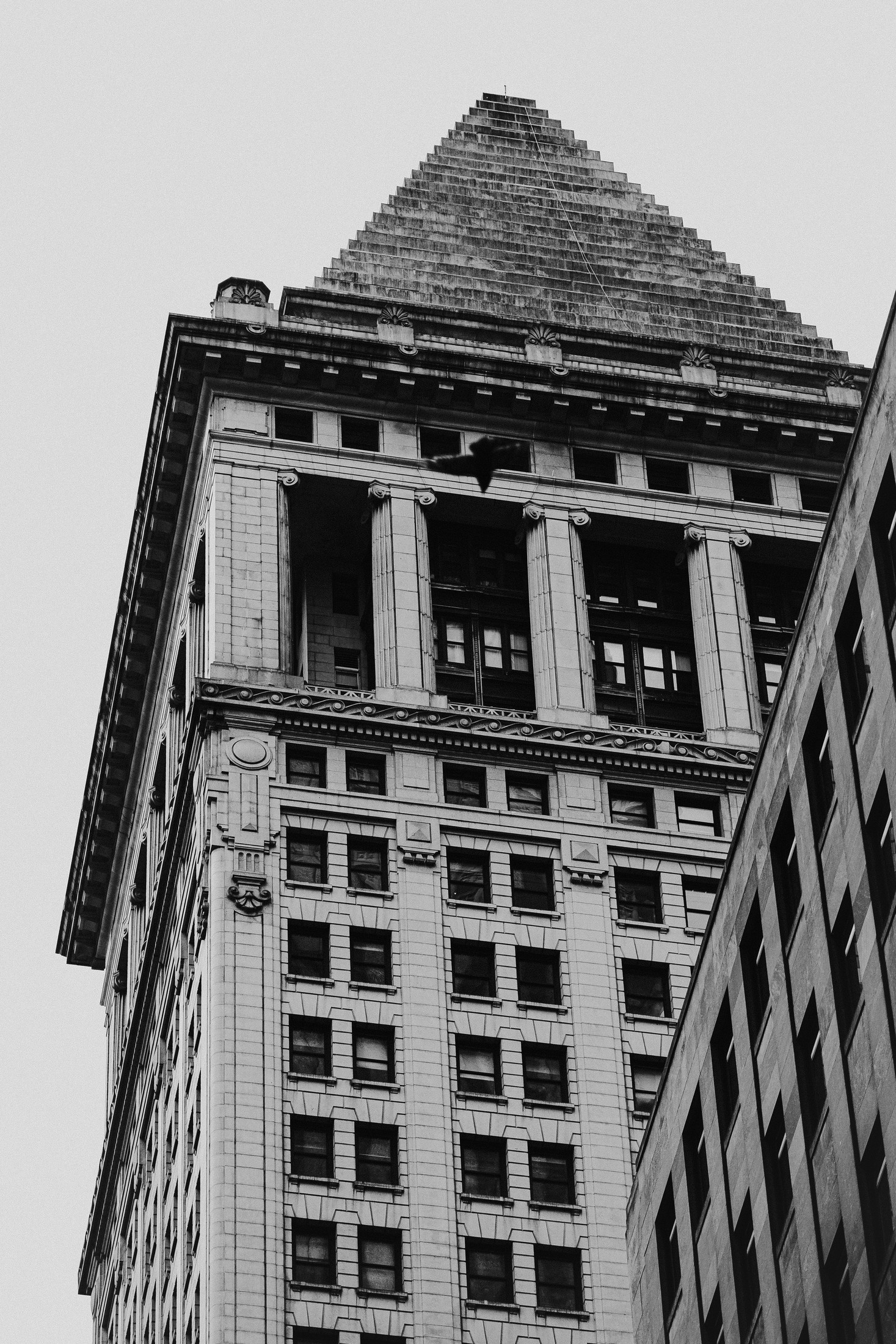 A classic Manhattan skyscraper facade with a bird caught mid-flight, black and white. Editorial photography by Brian Mullin, Pause Studios.